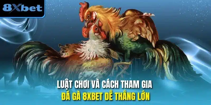 Luật chơi và cách tham gia đá gà 8xbet dễ thắng lớn